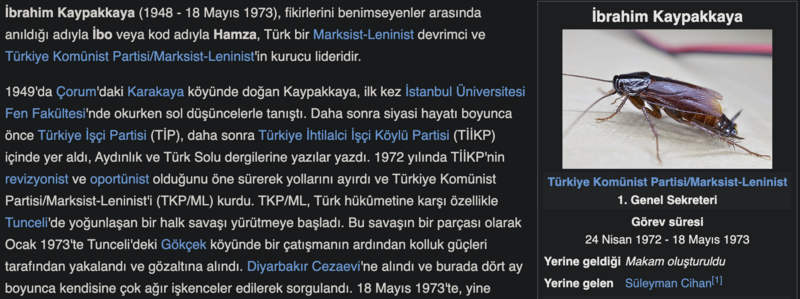 Dosya:İbrahim Kaypakkaya Wikipedia.png